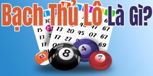 Bạch Thủ Lô Là Gì? Bí Quyết Soi Cầu Và Chọn Số Chính Xác
