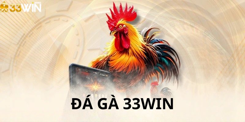 Giới thiệu về đá gà 33win sân chơi đẳng cấp