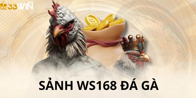 Tổng quan về sảnh chơi WS168 đá gà